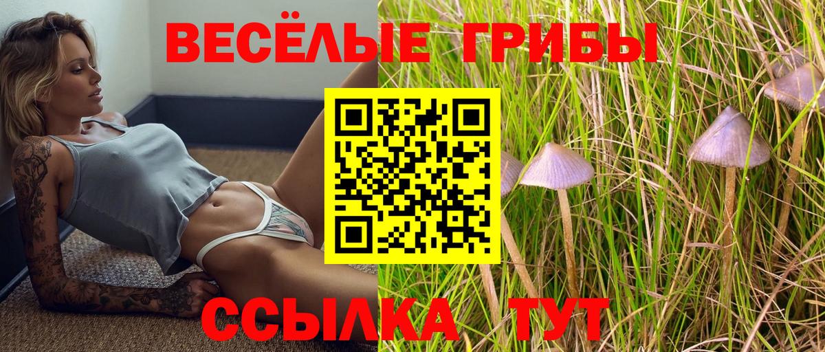 Галлюциногенные грибы MAGIC MUSHROOMS  купить   Кирово-Чепецк  Вход с VPN 